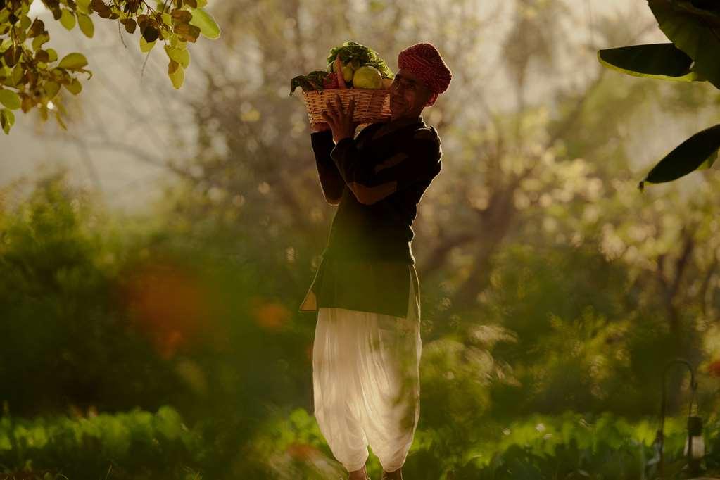 Amanbagh Otel Ajabgarh Konforlar fotoğraf